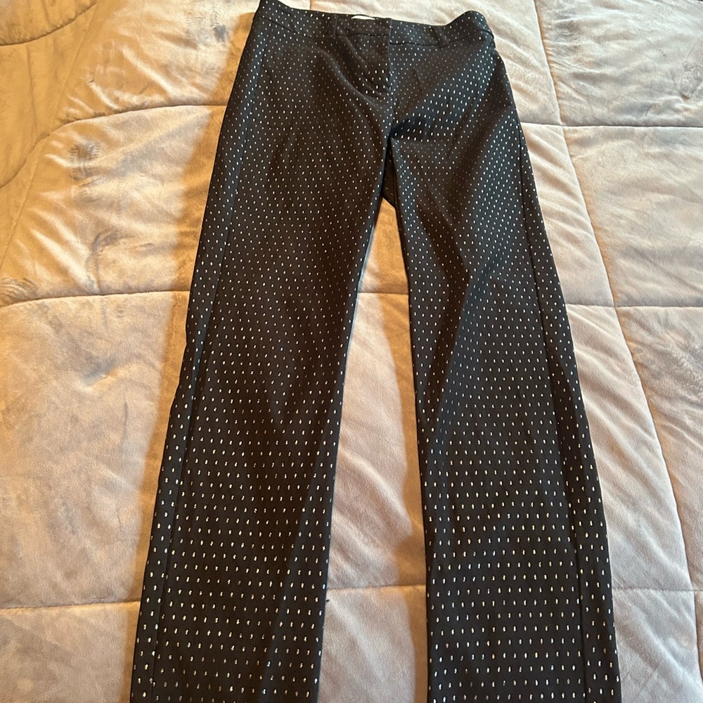 Stylish Black and Silver Women’s Pants